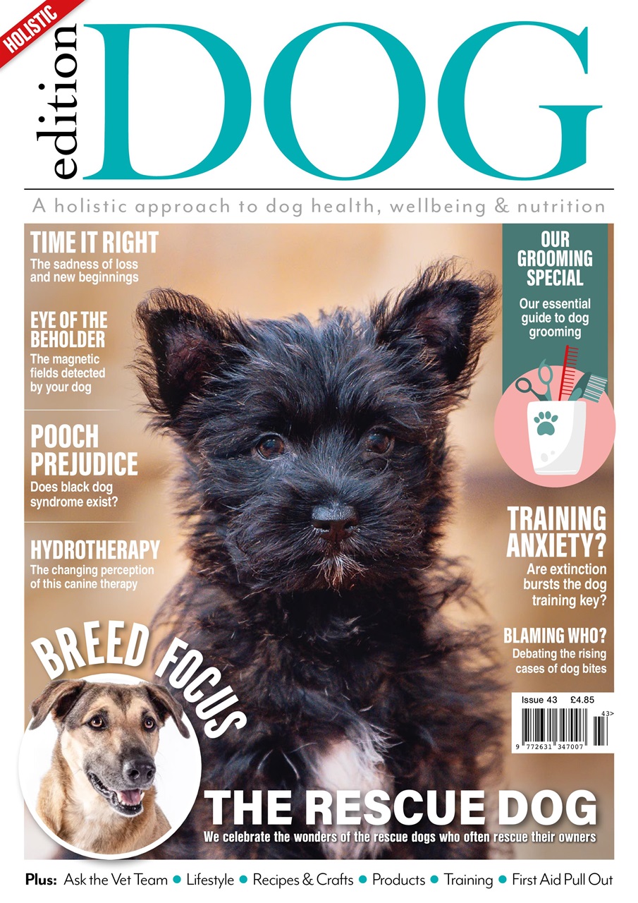 Edition Dog Magazine - Edition Dog Issue 43 Back Issue