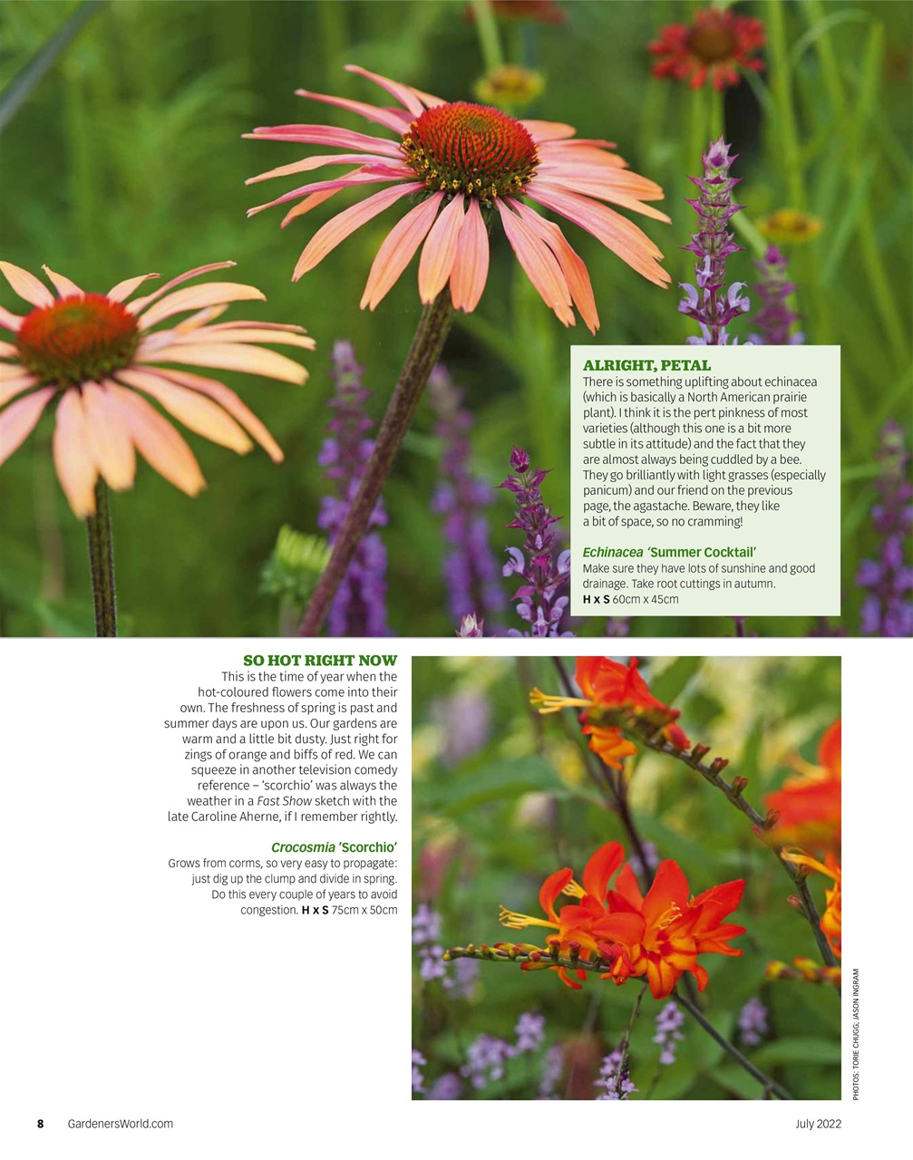 Bbc Gardeners World Magazine July Subscriptions Pocketmags