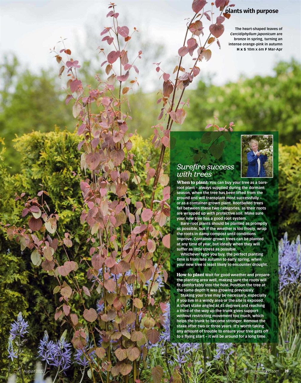 Bbc Gardeners World Magazine August Subscriptions Pocketmags