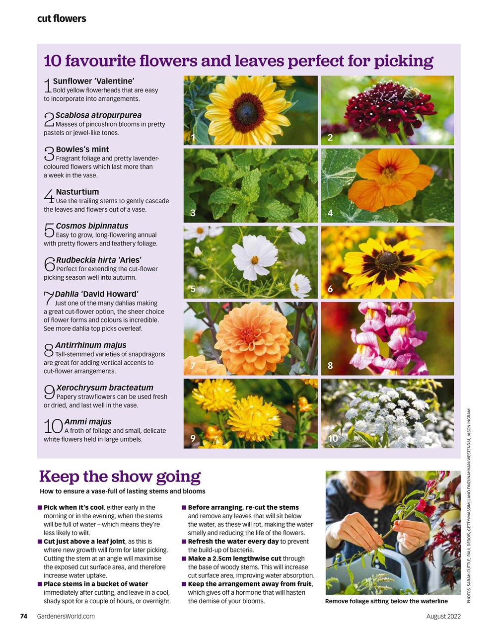 Bbc Gardeners World Magazine August Subscriptions Pocketmags