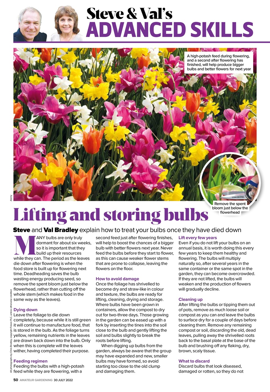 Amateur Gardening Magazine - 30th July 2022 Subscriptions | Pocketmags