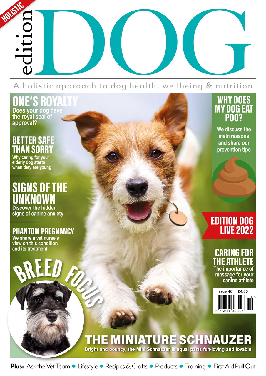 Edition Dog Magazine - Edition Dog Issue 46 Back Issue