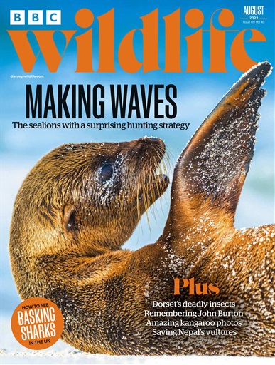 BBC Wildlife Magazine - Aug-22 Subscriptions | Pocketmags