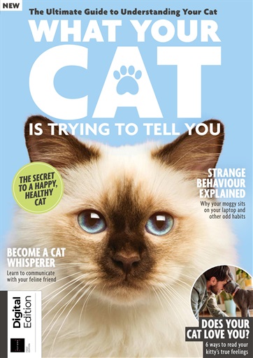 Lifestyle Bookazine - What Your Cat is Trying to Tell You 1st Edition ...