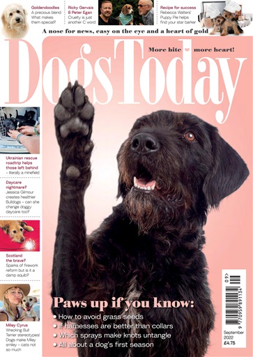 Dogs Today Magazine - September 2022 Back Issue