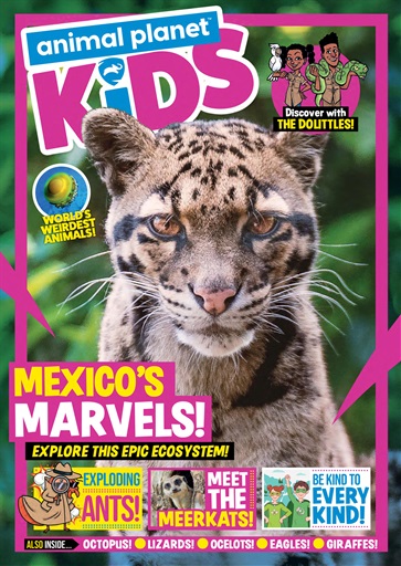 Animal Planet Kids Magazine - Issue 23 Back Issue