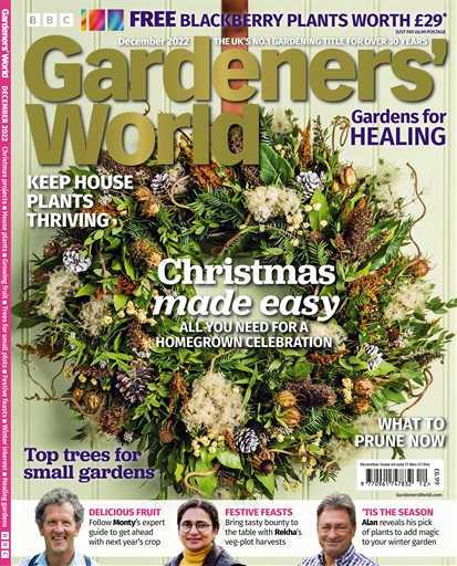 Plants with green flowers  BBC Gardeners World Magazine