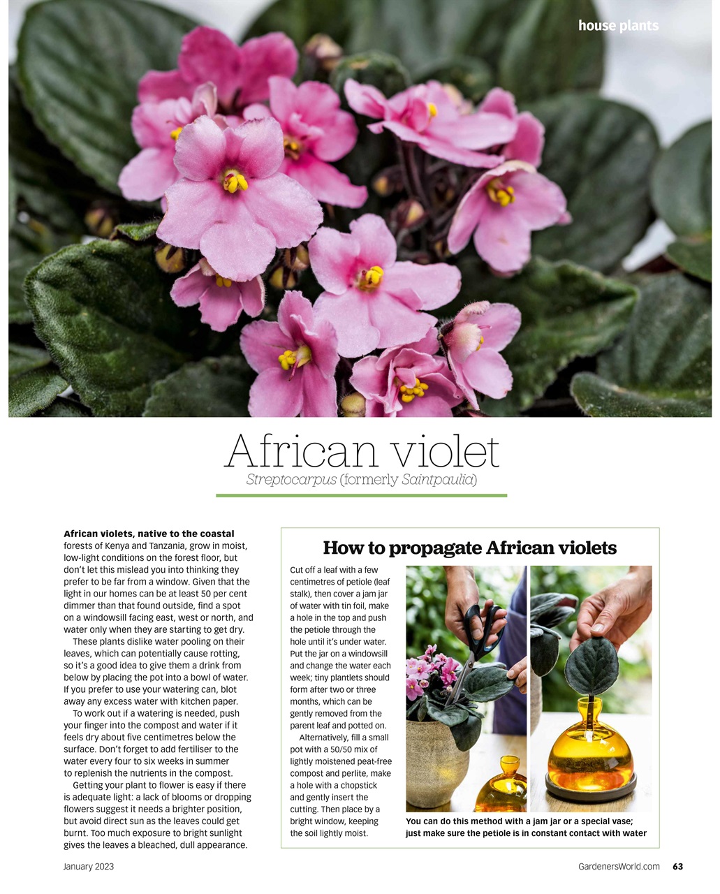 BBC Gardeners World Magazine January Back Issue