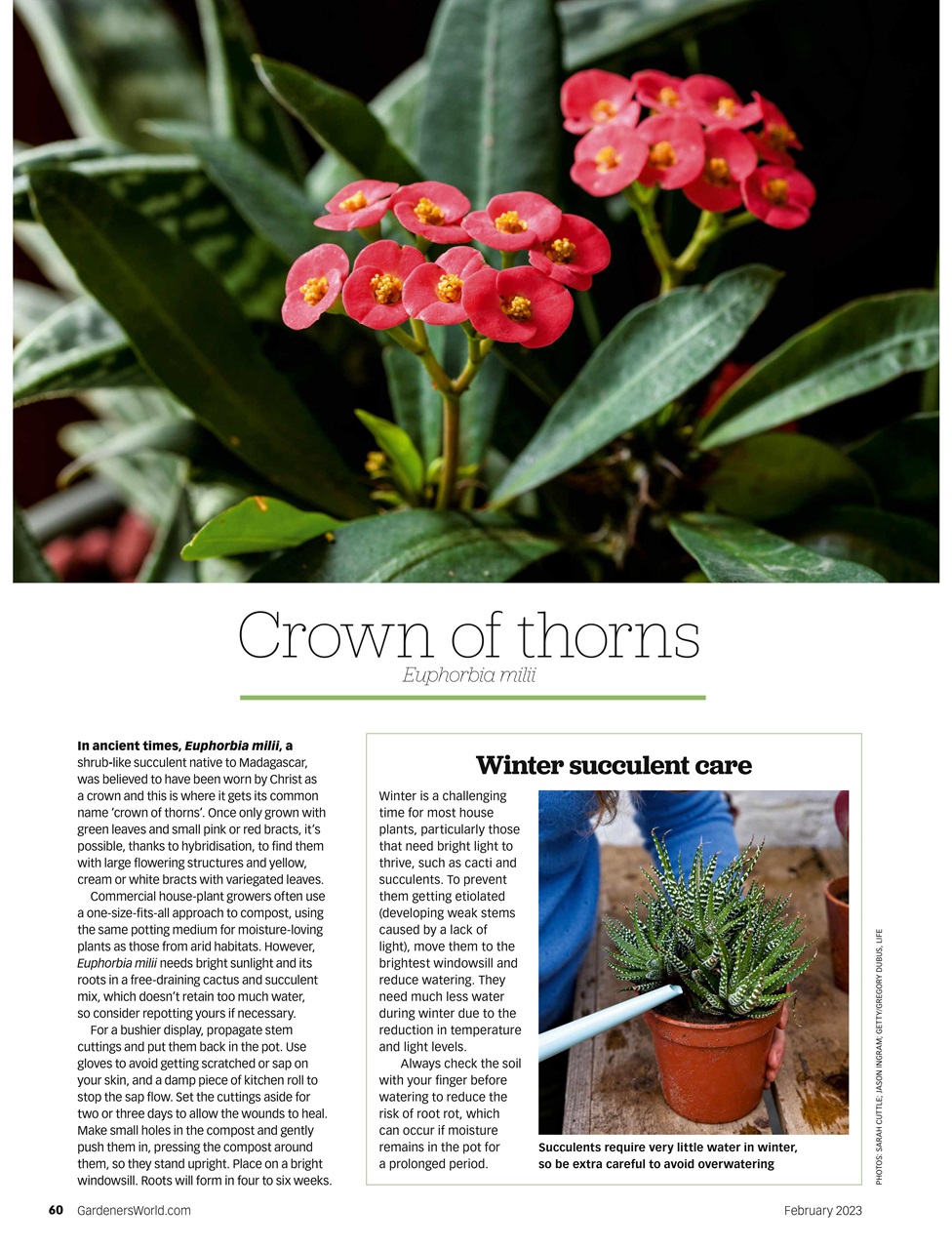 Bbc Gardeners World Magazine February Subscriptions Pocketmags