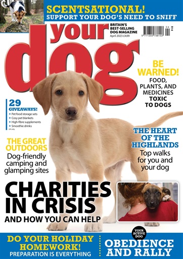 Your Dog Magazine - Your Dog Magazine April 2023 Back Issue