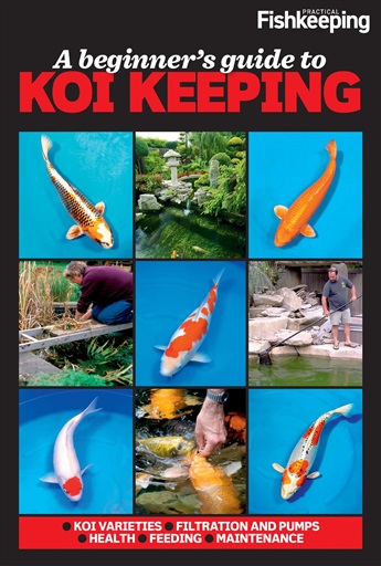 Koi Fish Care & Pond Guide