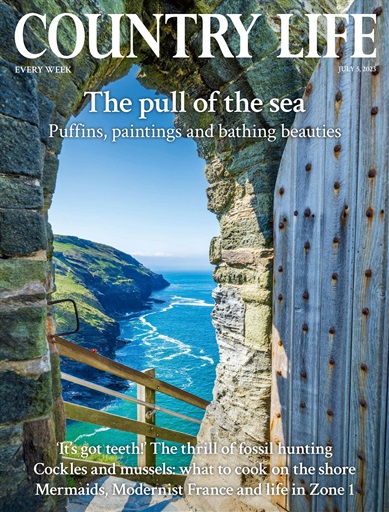 Country Life Back Issues | Pocketmags