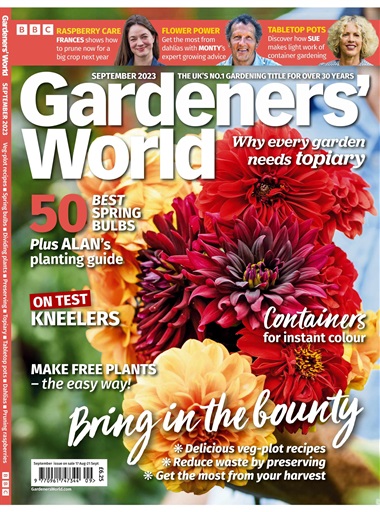 Flowers for Small Gardens  BBC Gardeners World Magazine