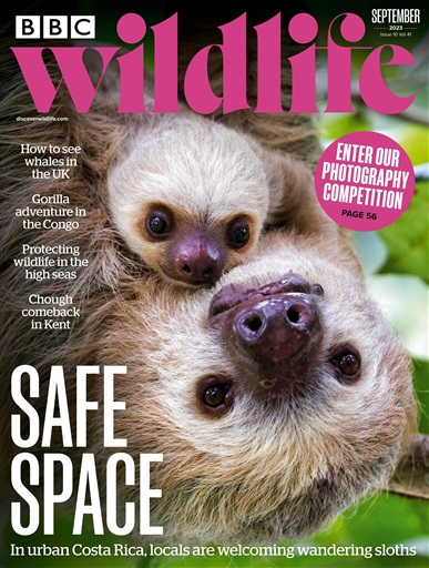 Bbc Wildlife Magazine September 2023 Subscriptions Pocketmags