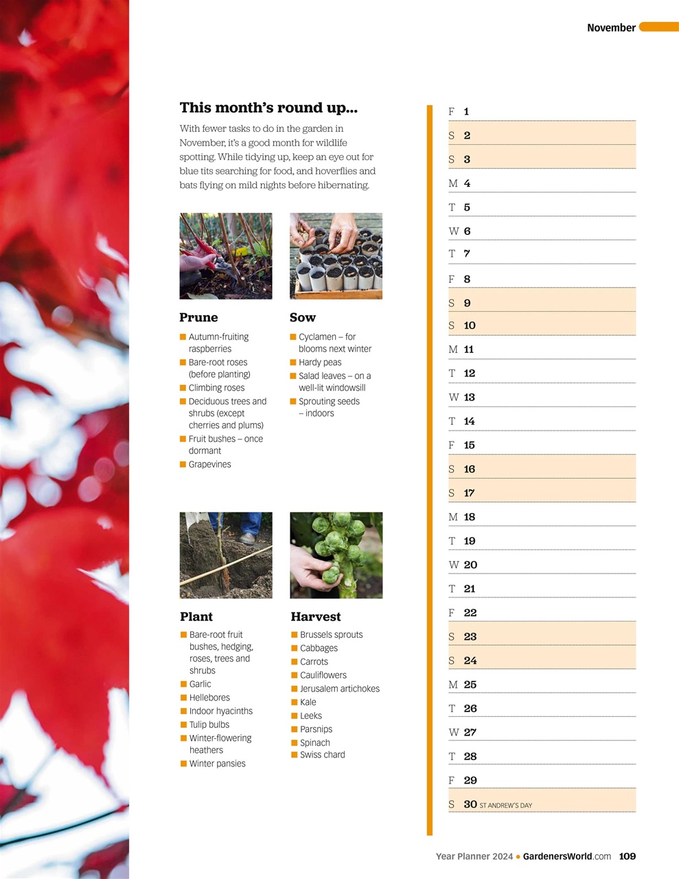 BBC Gardeners’ World Magazine Year Planner 2024 Special Issue