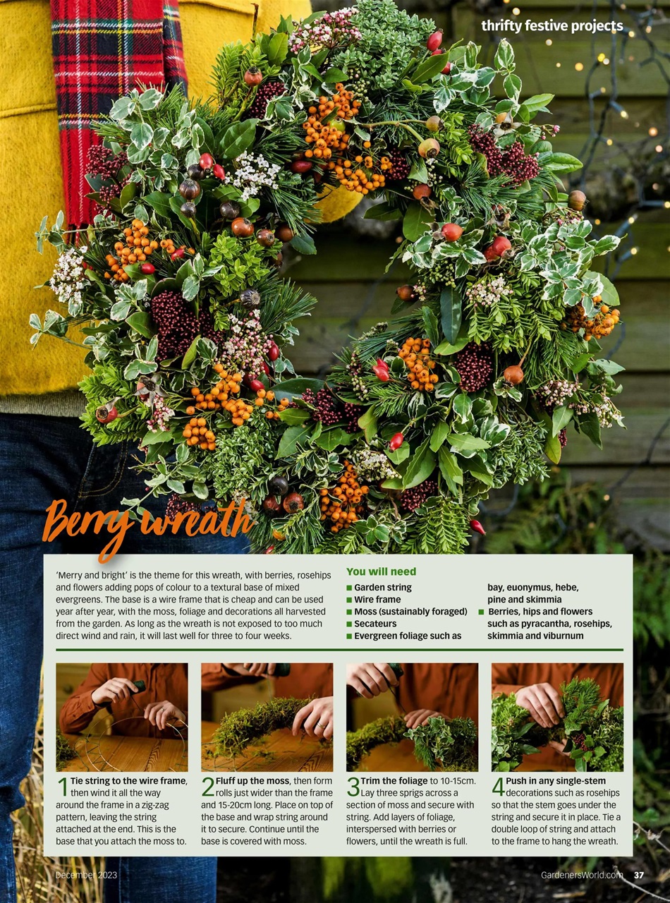 Bbc Gardeners World Magazine December Back Issue