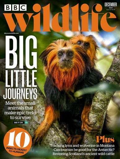 BBC Wildlife Magazine - December 2023