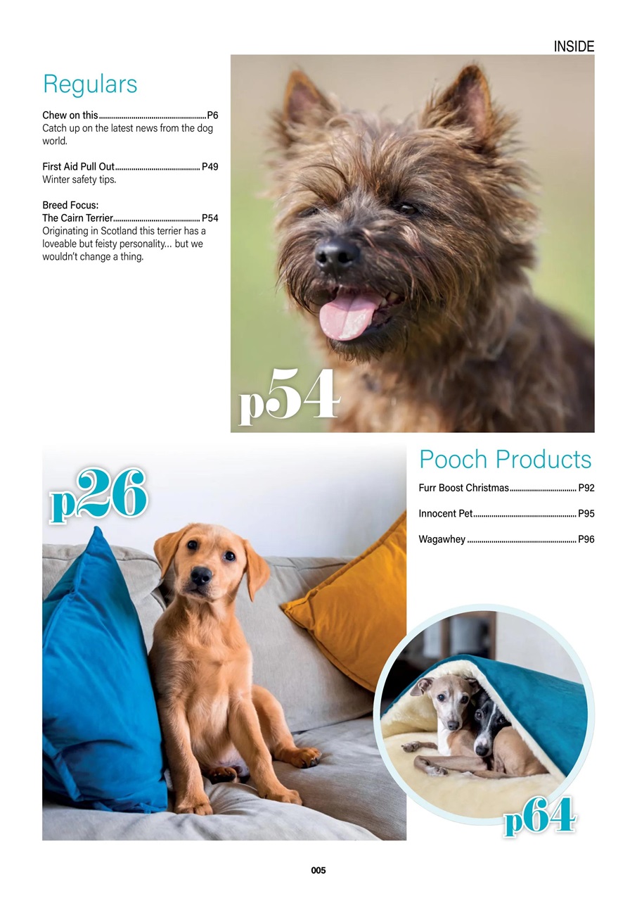 Edition Dog Magazine - Edition Dog Issue 62 Back Issue