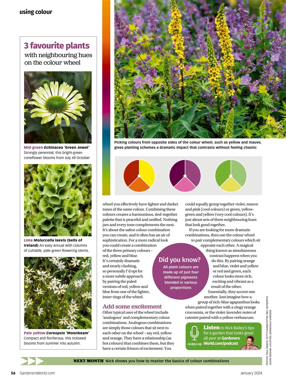 BBC Gardeners’ World Magazine - January 2024 Subscriptions | Pocketmags