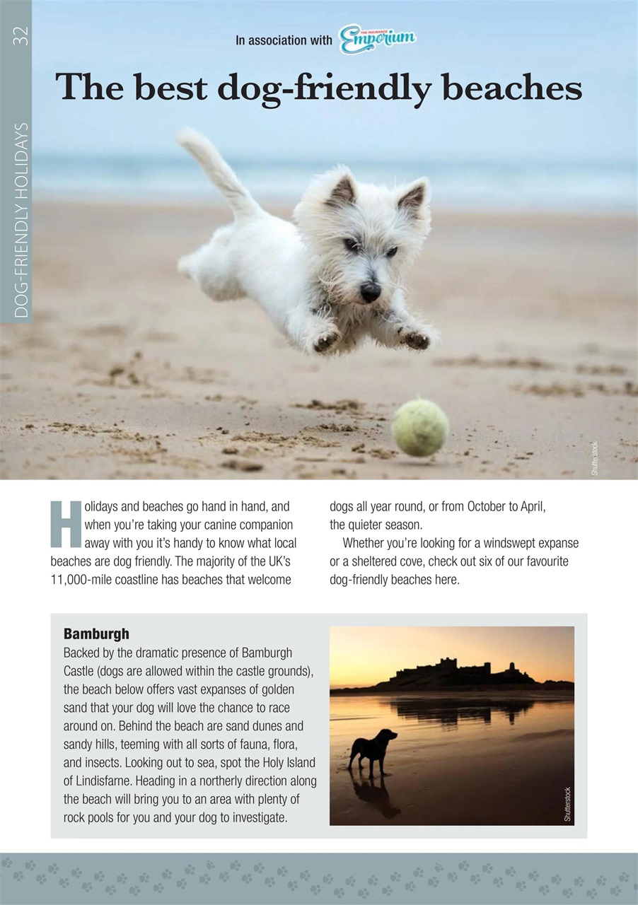 Camping Magazine Campsite Finder 2024 Back Issue