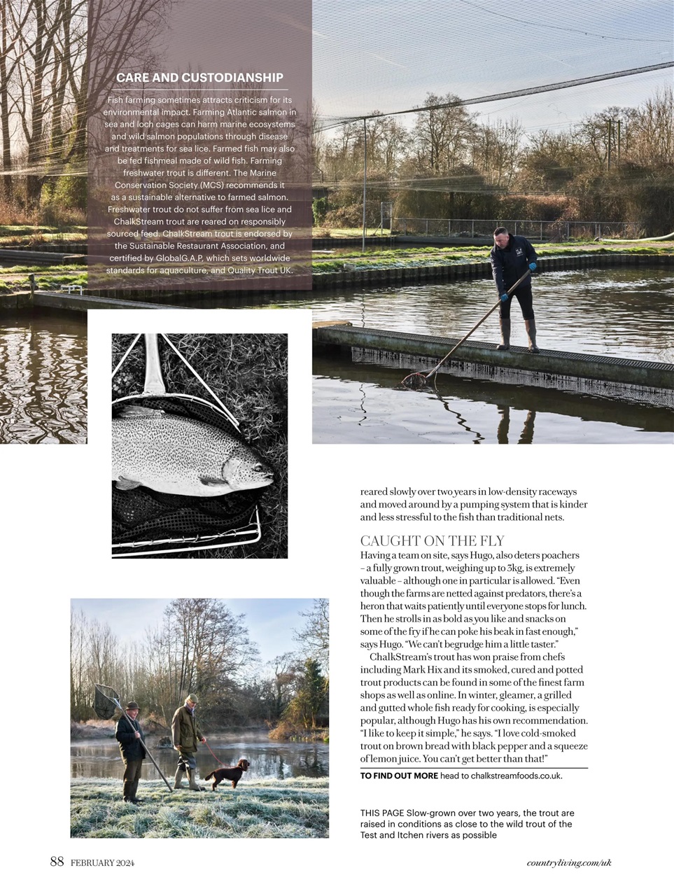 Country Living Magazine - Feb-24 Subscriptions | Pocketmags