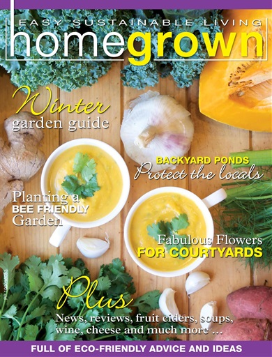 Homegrown Magazine Subscriptions And 12 Issue Pocketmags 9167