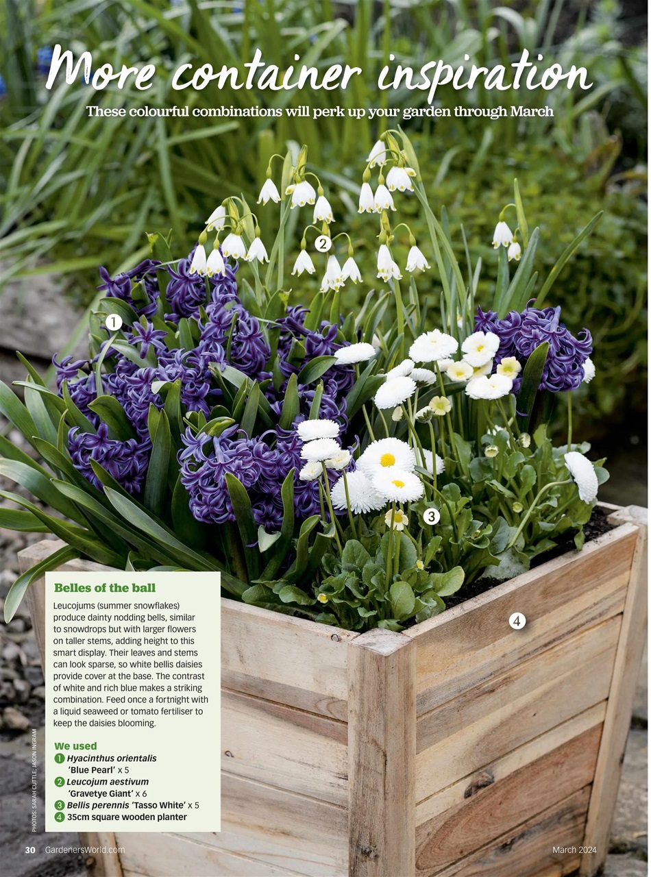 BBC Gardeners’ World Magazine Subscriptions And March 2024 Issue ...