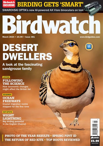 Birdwatching magazine deals binocular reviews