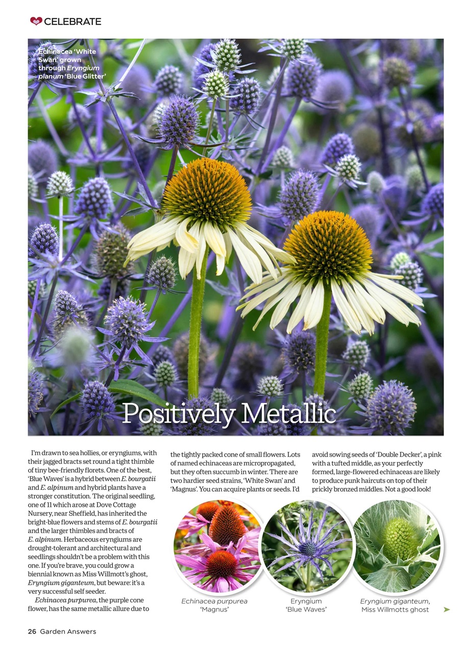 Garden Answers Magazine - Spring 2024 Back Issue