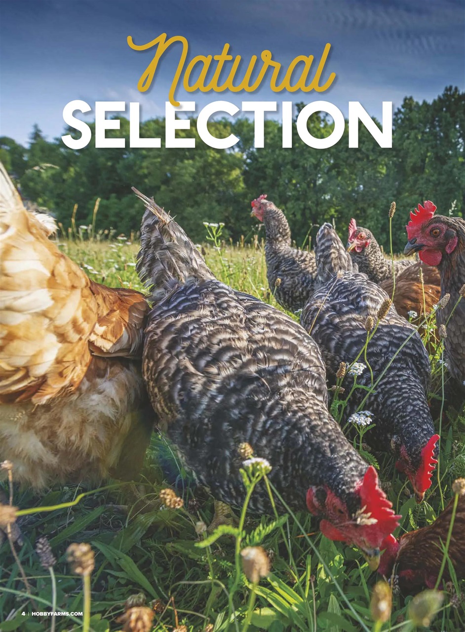 Hobby Farms Magazine - 2024-91 (Urban Farm) Special Issue