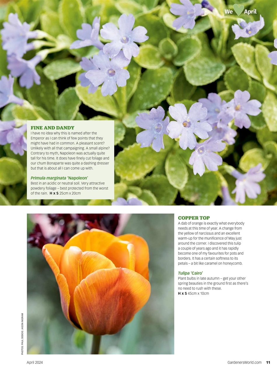 BBC Gardeners’ World Magazine April 2024 Vorige editie