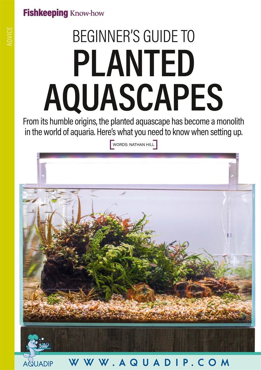 Practical Fishkeeping Magazine - April 2024 Back Issue