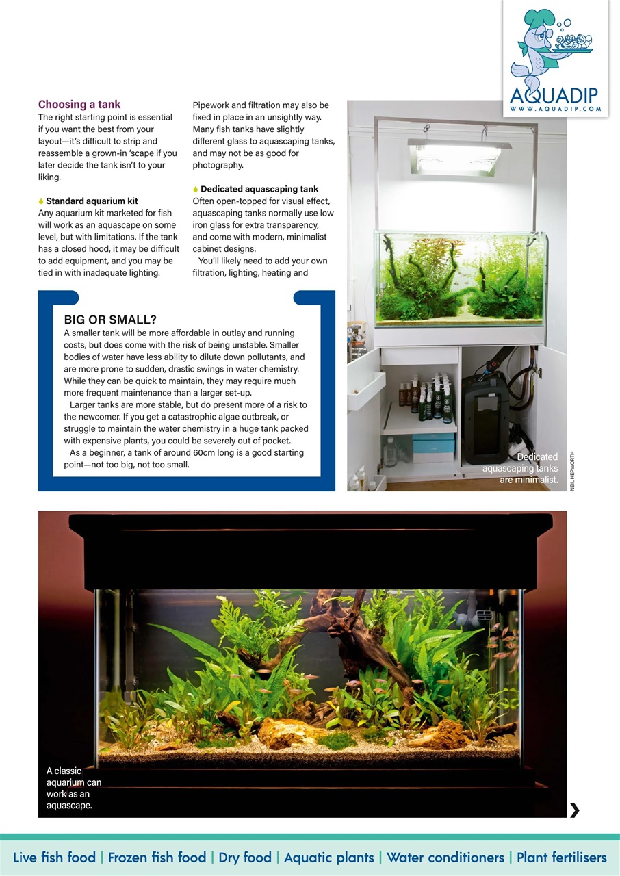 Practical Fishkeeping Magazine - April 2024 Back Issue