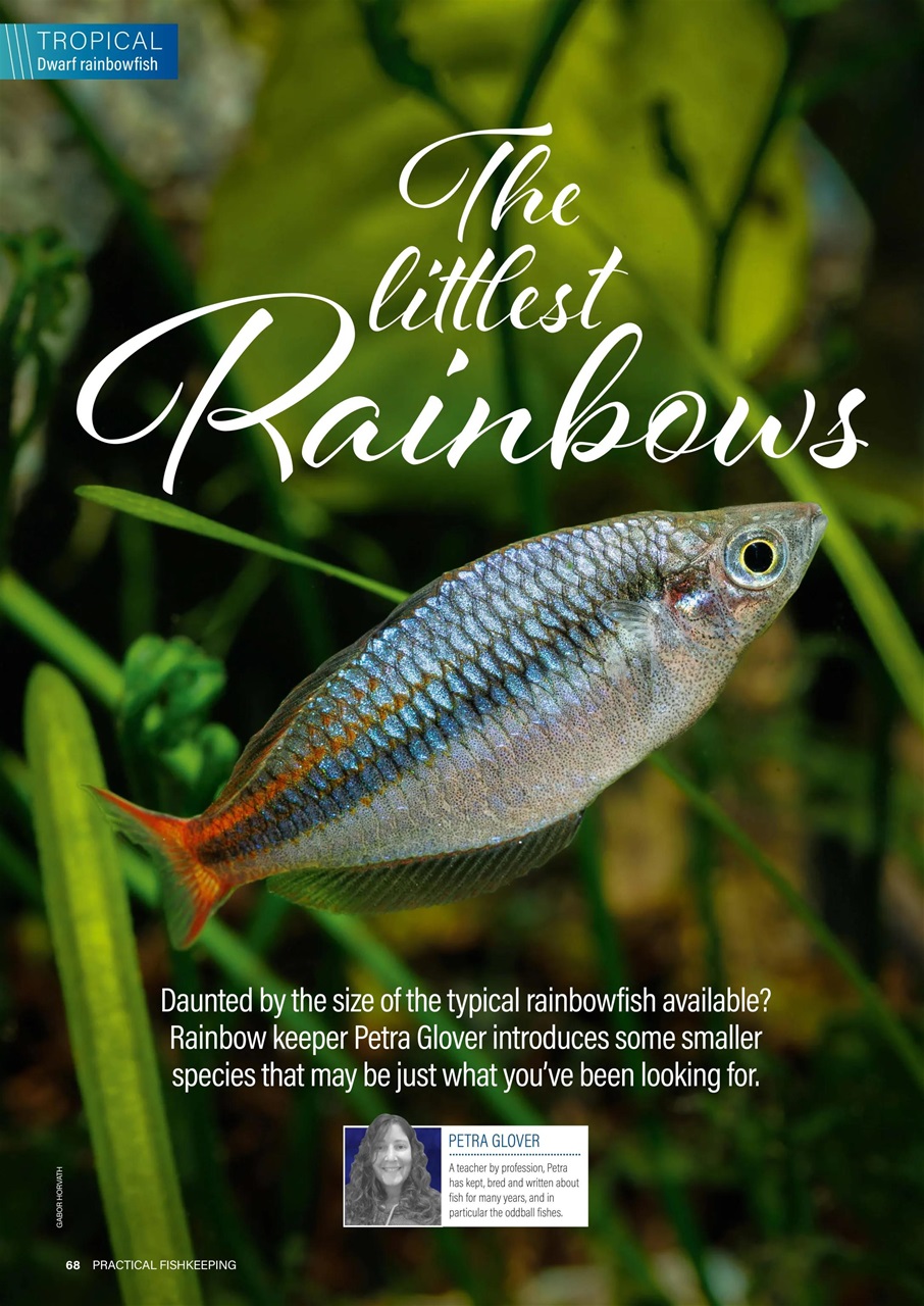 Practical Fishkeeping Magazine - April 2024 Back Issue