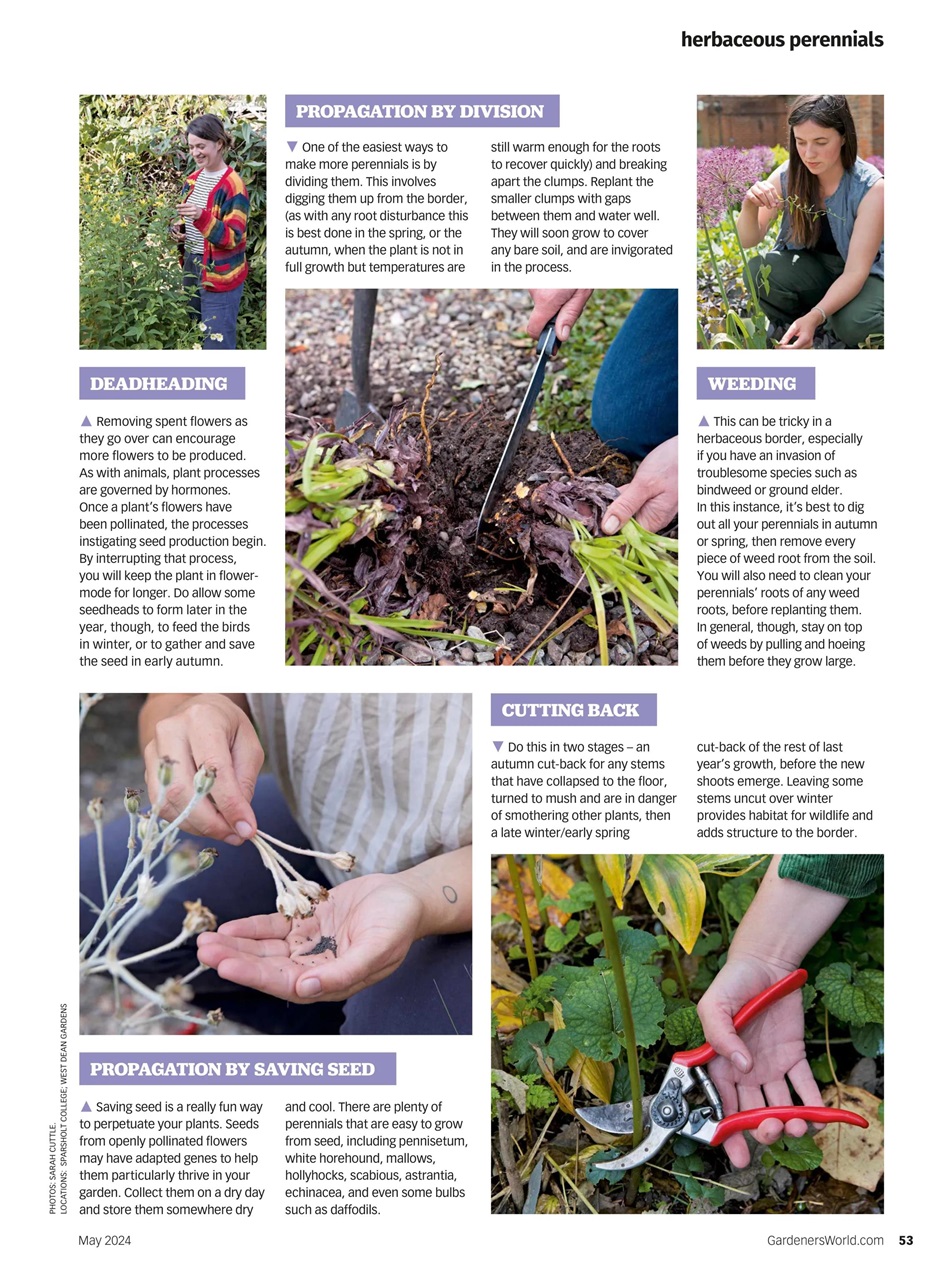 BBC Gardeners’ World Magazine Subscriptions and May 2024 Issue Pocketmags
