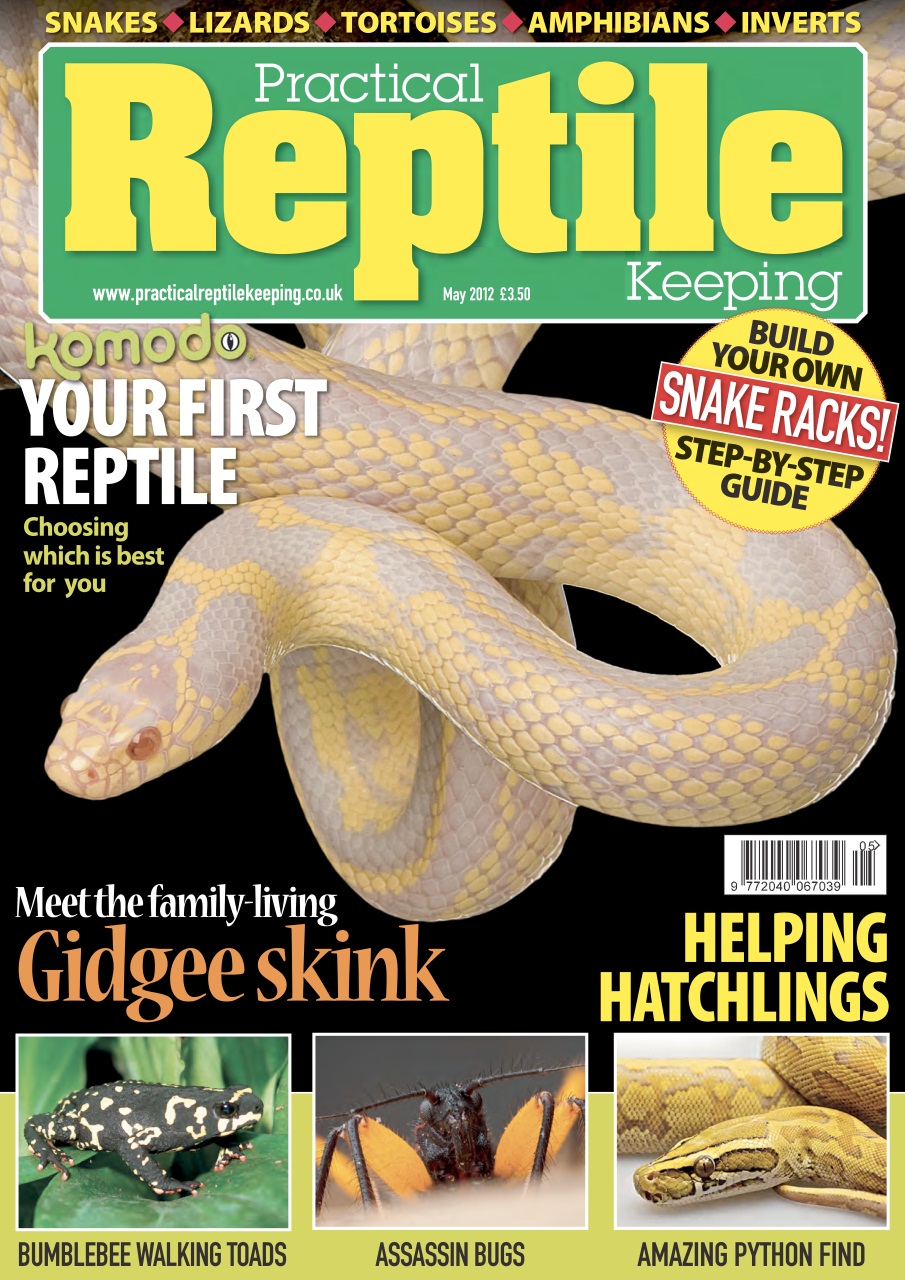 Practical Reptile Keeping Magazine No.36 Your first reptile Back Issue