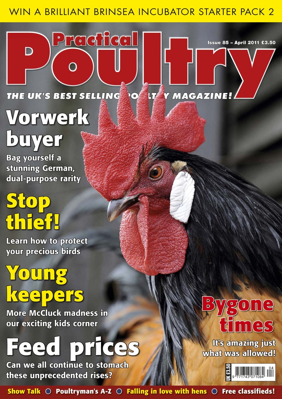 Practical Poultry Magazine 85 Back Issue