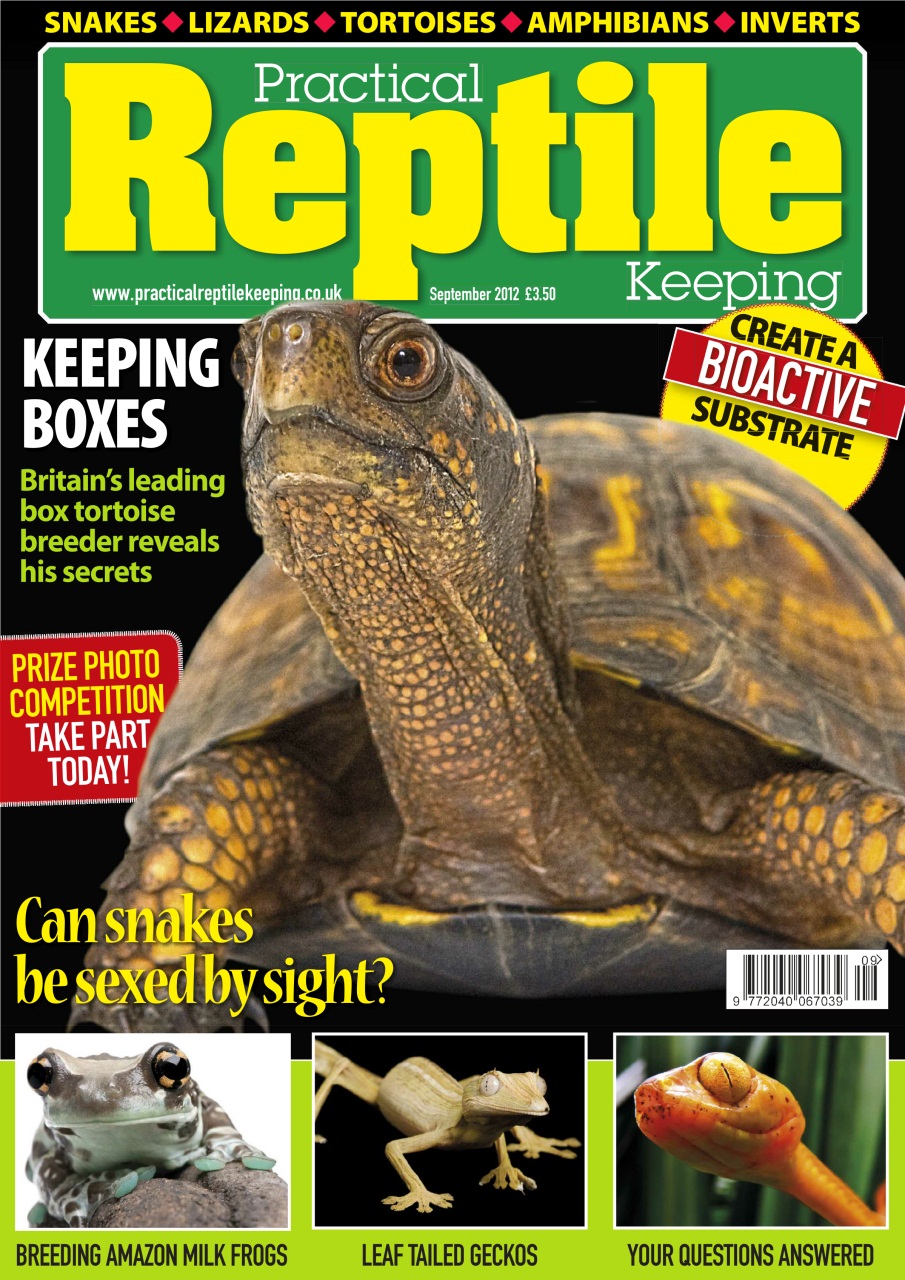 Practical Reptile Keeping Magazine No.40 Box Tortoise Back Issue