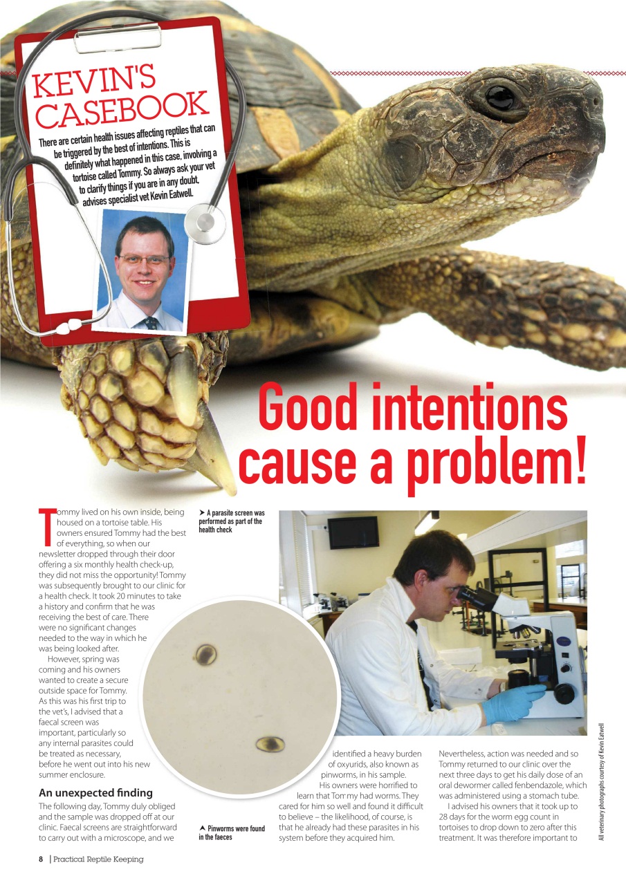 Practical Reptile Keeping Magazine - No.40 Box Tortoise Back Issue