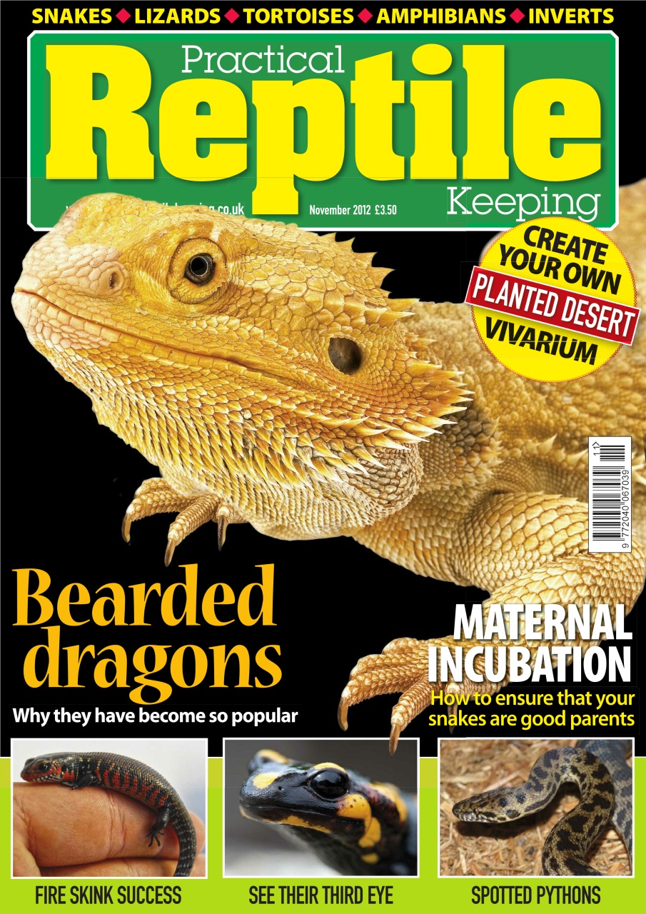 Bearded Dragon Care Sheet Reptile Magazine