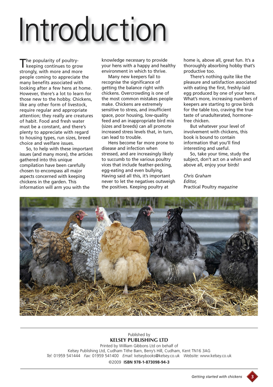 Getting started with chickens Magazine Subscriptions and Getting ...