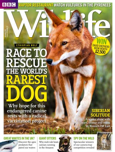 BBC Wildlife Magazine - December 2012 Back Issue
