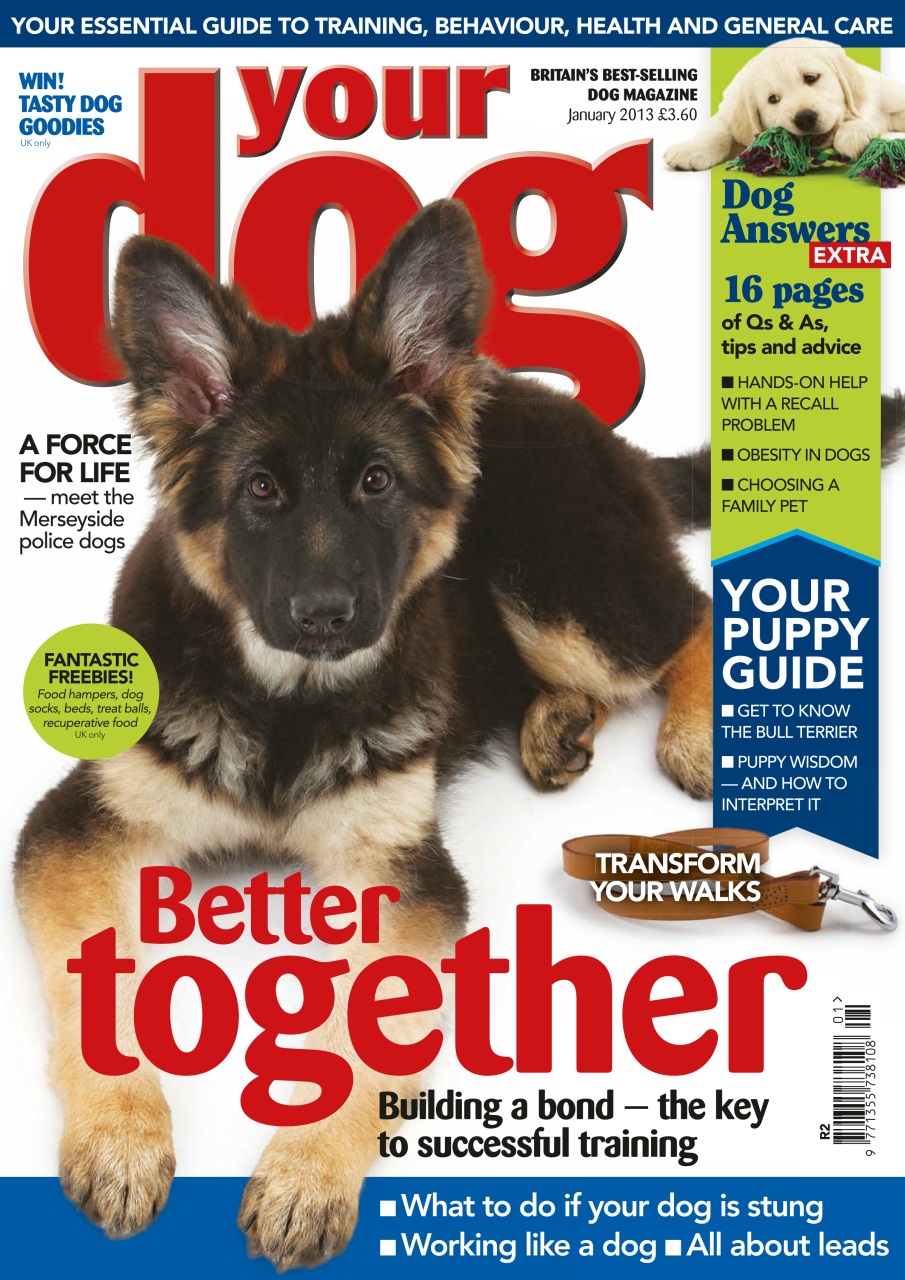 Your Dog Magazine - Your Dog Magazine January 2013 Back Issue