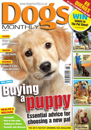 dogs monthly