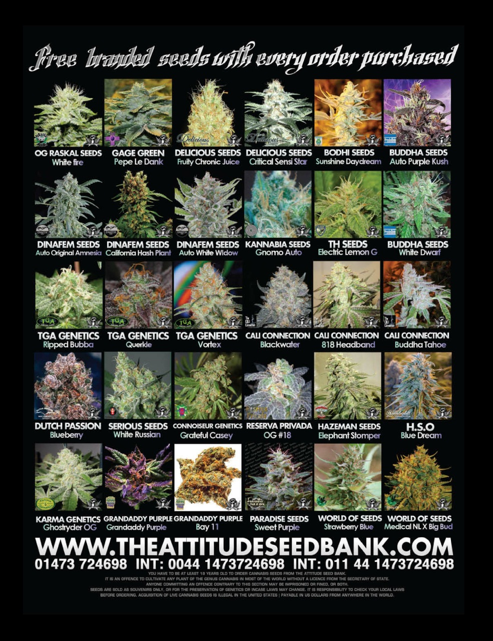 Cannabis Now Magazine - Issue 4 Back Issue