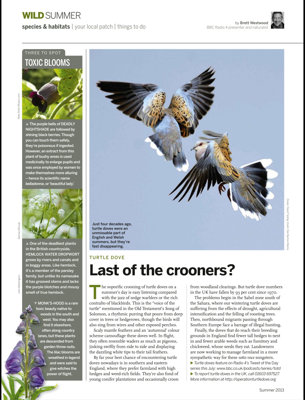 BBC Wildlife Magazine - Summer 2013 Back Issue