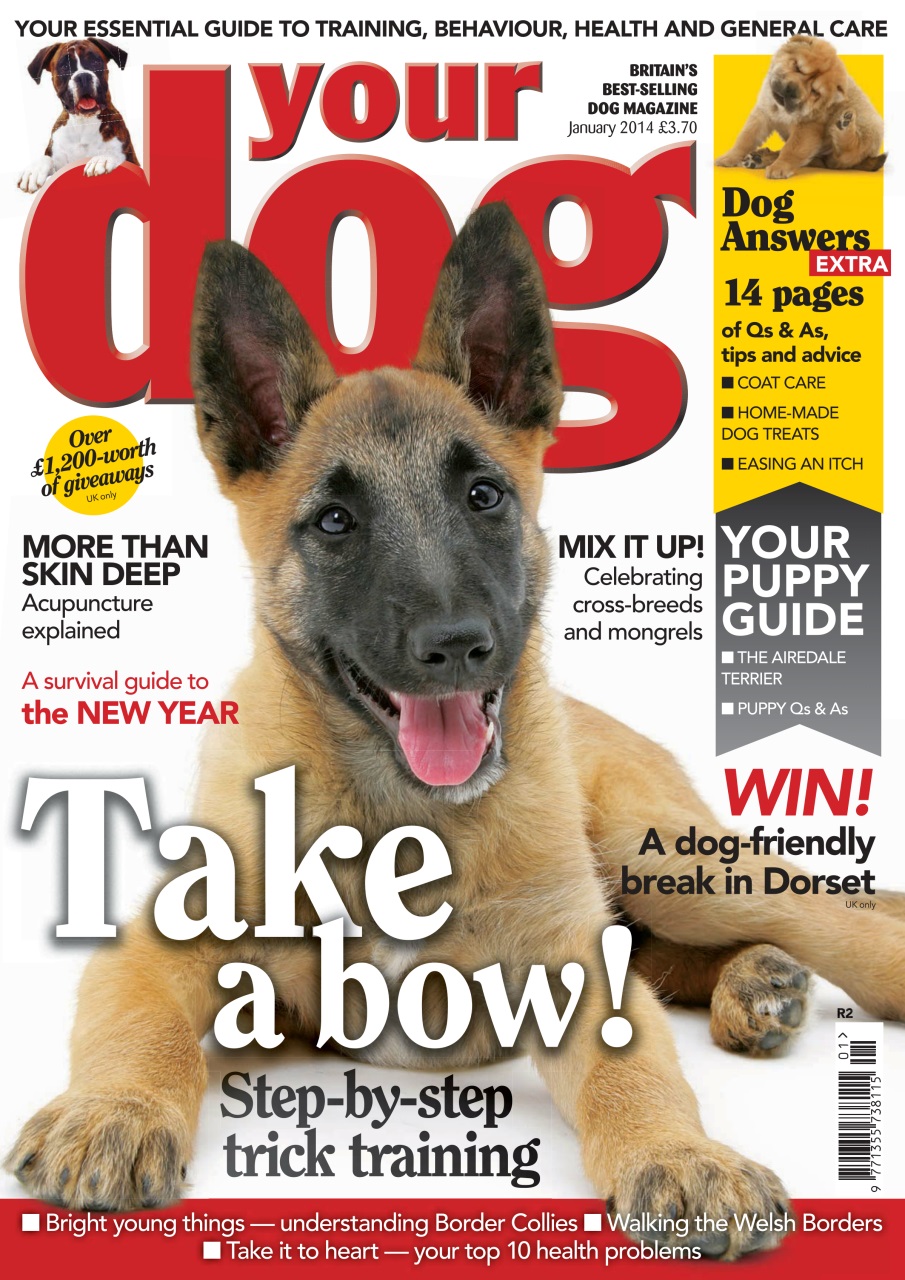 Your Dog Magazine - Your Dog Magazine January 2014 Back Issue