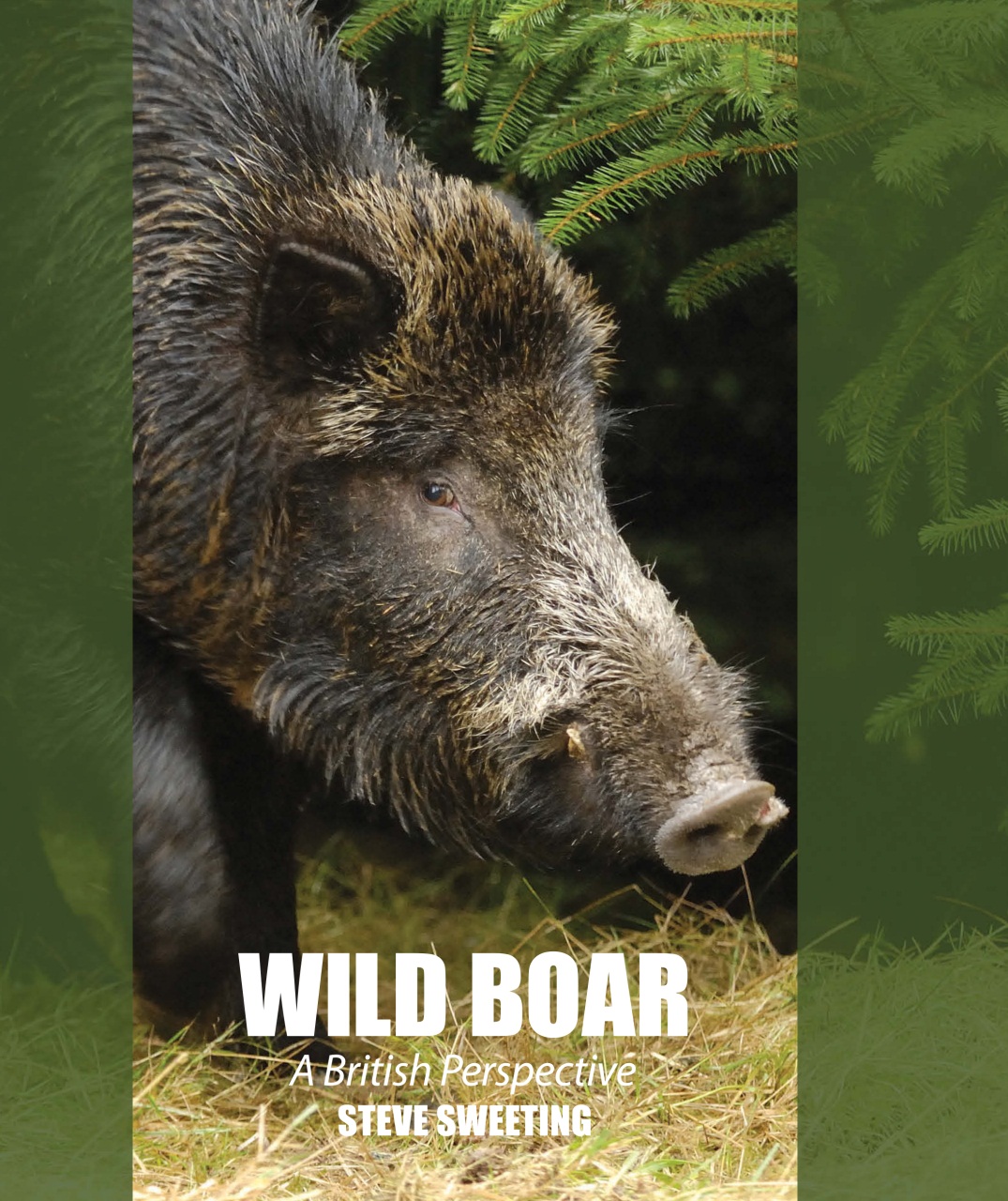 Sporting Rifle Books - Wild Boar: A British Perspective Back Issue