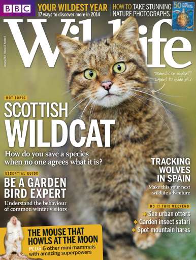 BBC Wildlife Magazine - January 2014 Back Issue