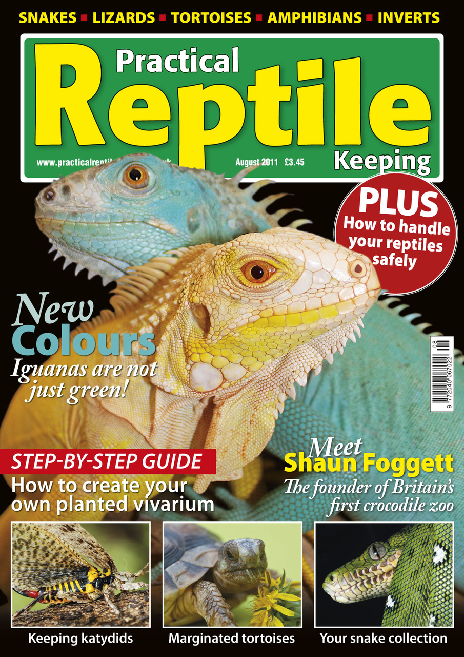 Practical Reptile Keeping Magazine No.27 Coloured Iguanas Back Issue